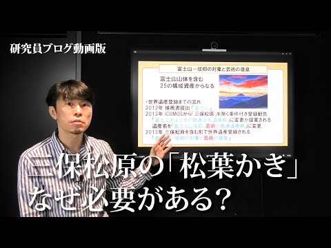 研究員ブログ動画版　三保松原での「松葉かき」はなぜ必要なの？