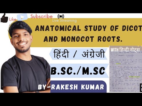 anatomical study of monocot and dicot roots।dicot and monocot roots anatomy of dicot roots#mscbotany