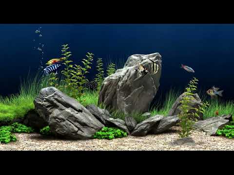 Calming Aquarium Fish Tank Sounds | No Music 2 Hours | Very Relaxing