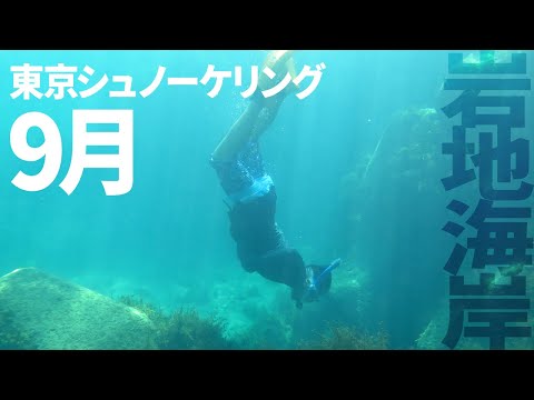 ＃１８岩地海岸でシュノーケリング（2019年9月）【東京シュノーケリング】