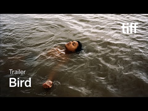 BIRD Trailer | TIFF 2024