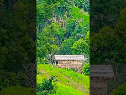 Most Beautiful Place in Bangladesh Bandarban #shorts #travel #travel #bandarbon #beautiful #nature