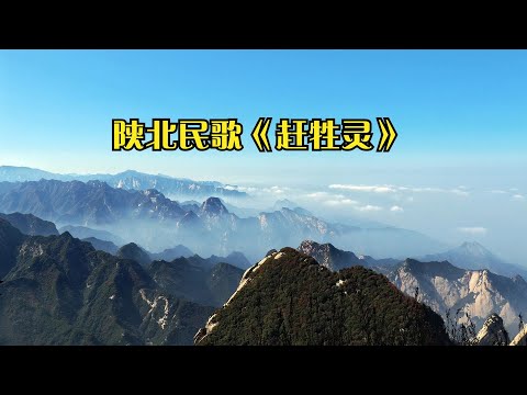 【传统】200分钟陕北民歌《赶牲灵》用小调小曲宣泄黄钟大吕之势