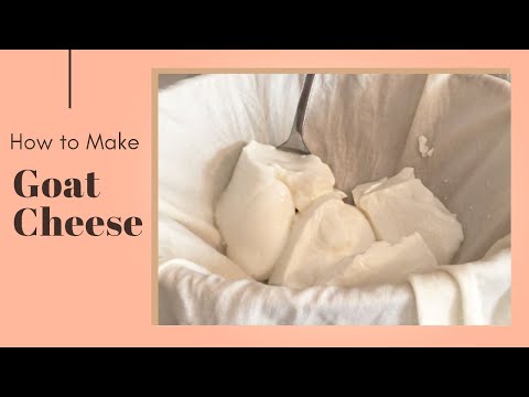 How to Make Goat Cheese at Home