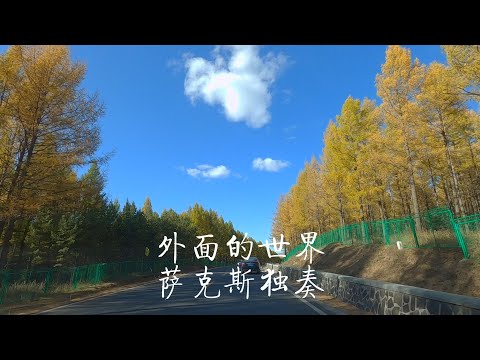 《外面的世界》怀旧金曲次中音萨克斯独奏Saxophone Cover