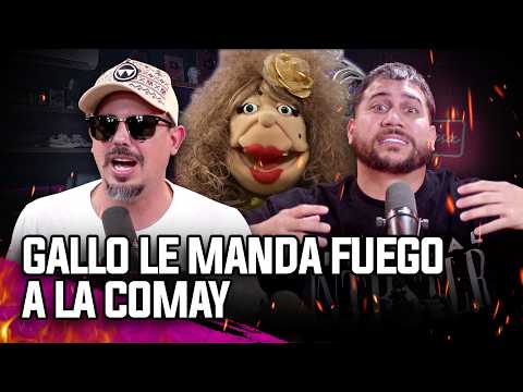 GALLO LE MANDA FUEGO A LA COMAY