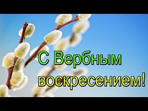 Красивое поздравление С Вербным Воскресеньем / ВЕРБНОЕ ВОСКРЕСЕНИЕ