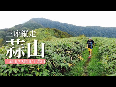 【登山】蒜山三座縦走〜ロード10㎞ ガスでしたが素敵な稜線を歩いてきました。