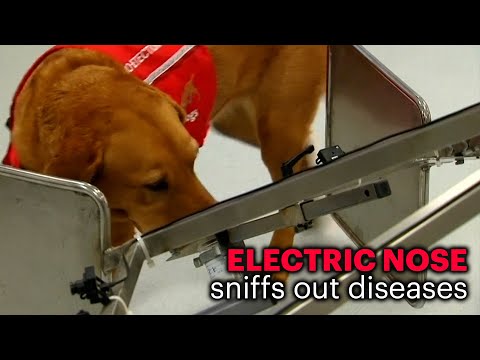 This Device Smells Diseases by Imitating a Dog's Nose