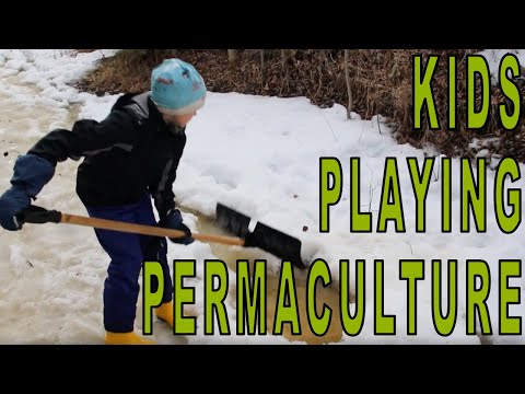 Playing Permaculture With Your Kids - Take a PDC as a Family