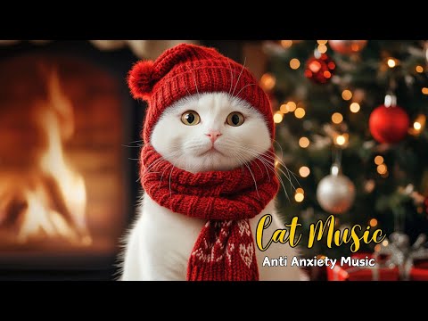 Anti-Anxiety Music For Cat:  Peaceful Music Help Your Cat Friend Calm and Don't Worry When Alone🐾