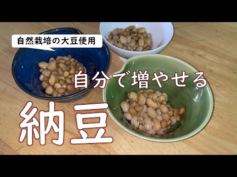 「無駄なく、健康に過ごしたい」と思ったら、結果として節約になっちゃった……コレも自宅で増やせますよ！【納豆】