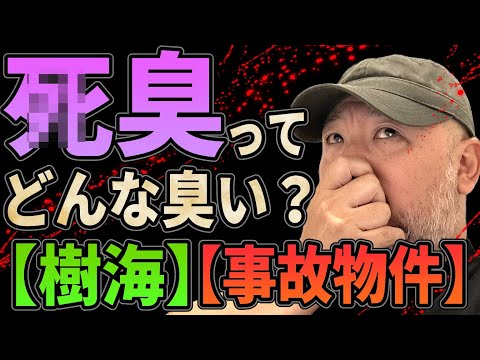 【樹海】●臭ってどんな臭いなの？【事故物件】