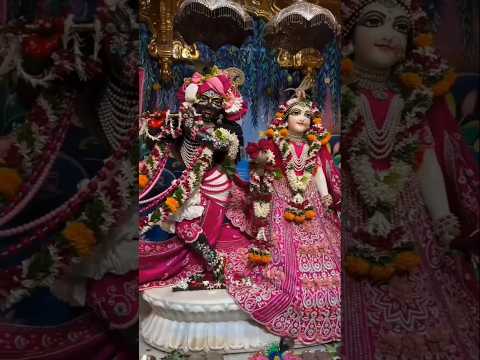 Banke bihari #vrindavan #radhkrishana #viralbhakti