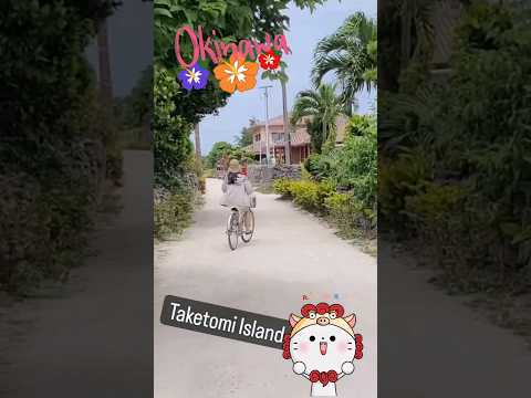 🇯🇵 『竹富島旅行』Taketomi (Okinawa Island) #shorts