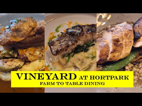 NEW 2024! Farm to Table Dining - Vineyard at HortPark Modern European Fine Dining #farmtotable  #sg