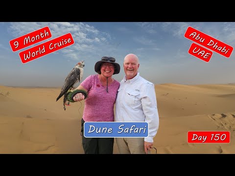 Abu Dhabi Desert Adventure - Wild Ride, Falcons, and Dinner Under the Stars