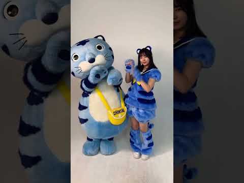 #安納蒼衣🎶  が#チンタイガー と一緒にスペ恋ダンス🐯💙 #スペアのない恋 #僕が見たかった青空 #僕青 #乃木坂46公式ライバル #アイドル #idol#CHINTAI