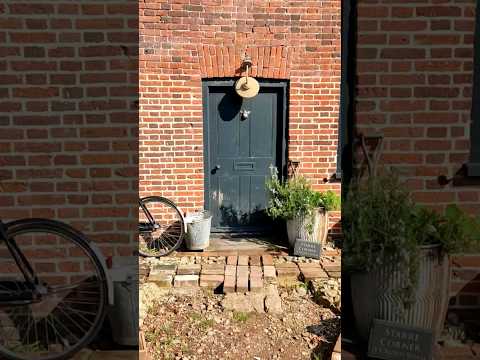 My front garden in May. With the sun out even a work in progress garden looks quite pretty.