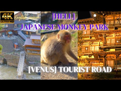 Japanese macaque park and Shibu Onsen town of "Spirited Away" model