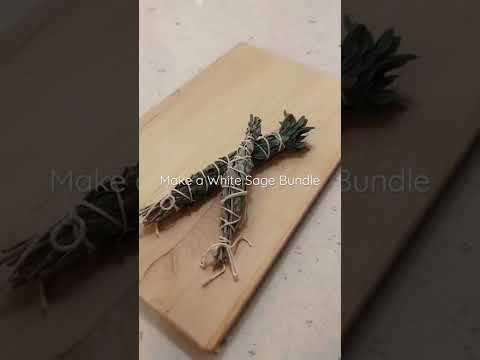 Make a White Sage Bundle / 一起製作白鼠尾草束吧