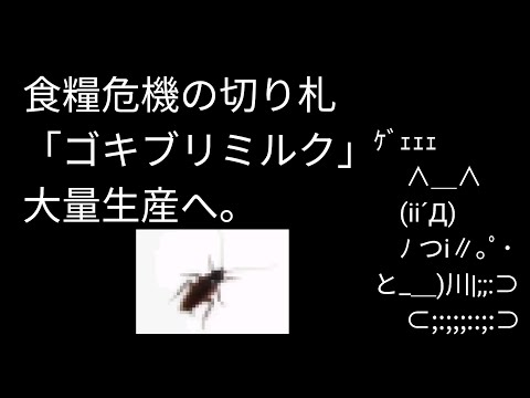 食糧危機の切り札「ゴキブリミルク」大量生産へ。｜いや無理だから（泣）【2ch5ch】【バブニュース】