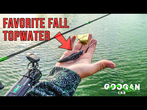 LUNKERSTV's Favorite FALL TOPWATER! ( Bass Fishing Tips )