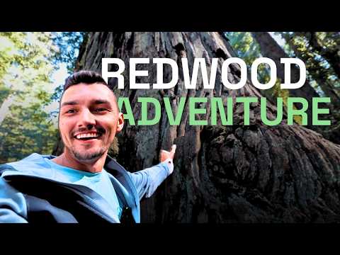 Vadim & George walk and talk in the MONSTER Redwoods about Wood!