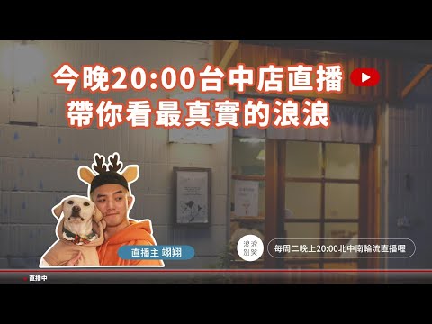 2024/09/24 等家的浪浪∣台中店