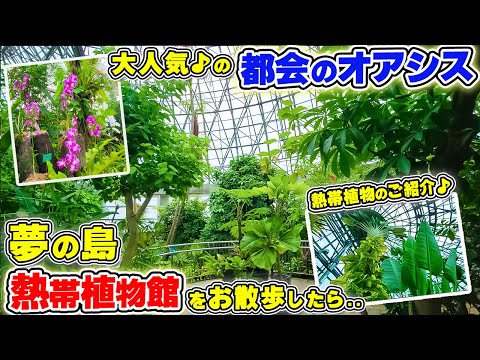 いま[デートスポット]としても大人気♪【夢の島熱帯植物館】を散策してみたら・・【🌹花散歩🌹】