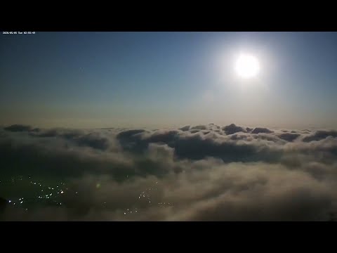 阿里山即時影像-太平雲梯-夜景-縮時 | Night View Timelapse in Alishan, Taiwan