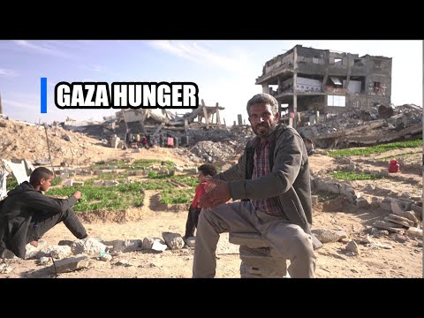 Gaza hunger | گرسنگی در غزه