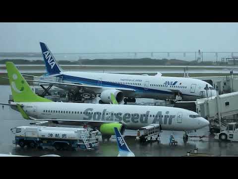 【ANA最新鋭機搭乗記】ANA B787-10(78K/羽田→沖縄那覇)に乗ってきた。