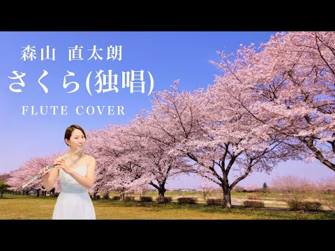 【歌うフルート】森山直太朗「さくら(独唱)」をフルートで演奏してみた！〜SAKURA〜