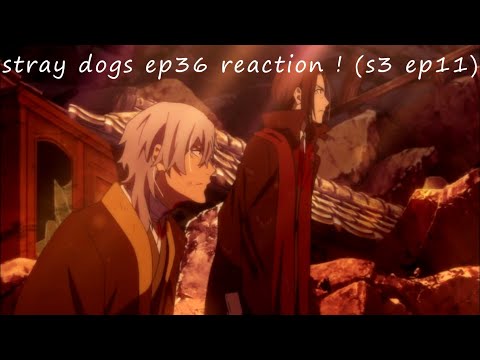 BUFF BABY BANDAID MEN~stray dogs ep36 reaction ! (s3 ep11)