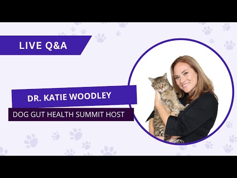 Dog Gut Health Summit Live Q&A Day 1