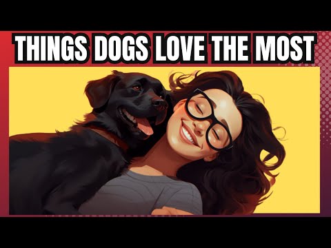 16 Things Dogs Love The Most (Do This Daily)