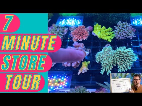 7 Minute Store Tour