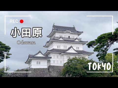 【東京近郊EP5】小田原城、日式百年老宅民宿✨路過箱根半日遊🚗