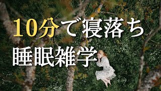 眠りにフィットする快眠雑学｜毎日の睡眠を楽しむ