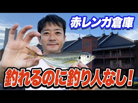 【横浜新港】アジやサバがよく釣れるのに釣り場は貸し切り状態！