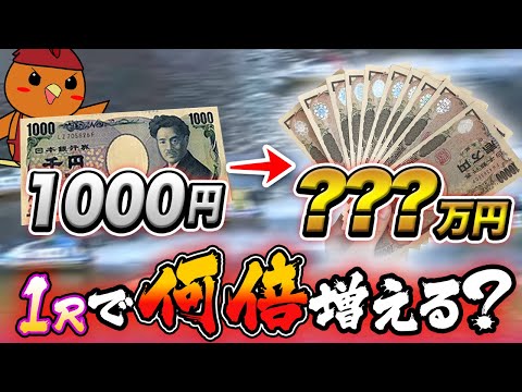 1R1000円でどこまで高い合成オッズを狙えるのか？【ボートアルバイターシト君】