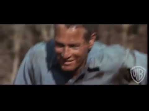 Immortal Movie Trailer 『 暴力脱獄（Cool Hand Luke） 』  予告編 Trailer 1967.