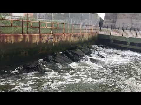 Time Lapse Brooklyn Waves