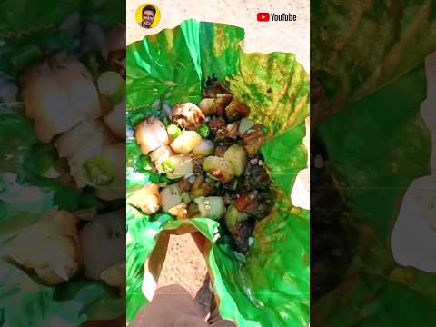 Roasted pork in picnic,Assam #shorts #viral #reels #travel #india #assam #food #trending #vlogging