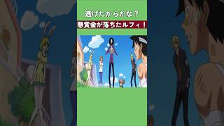 逃げたからかな？懸賞金が落ちたルフィ！ #ワンピース #onepiece