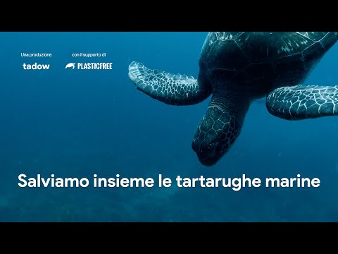 Salva una tartaruga marina con Plastic Free