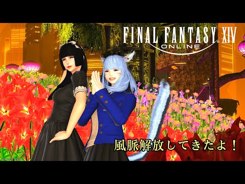 【FF14】 黄金のレガシー　風脈解放リビング・メモリー　エリーゼちゃんと行ってきた🩷※無言動画