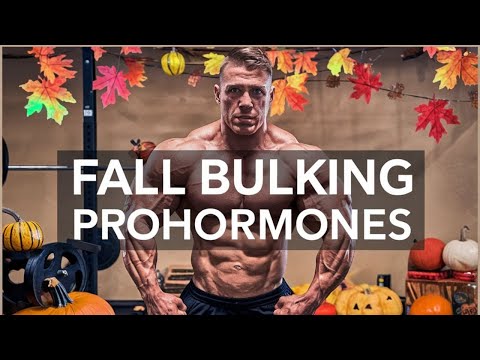 The Best Prohormones for Bulking & Mass | Fall Edition