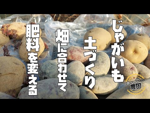 【じゃがいも】土づくり！！元肥は入れる？入れない？畑に合わせて肥料を入れる！【農家の家庭菜園】